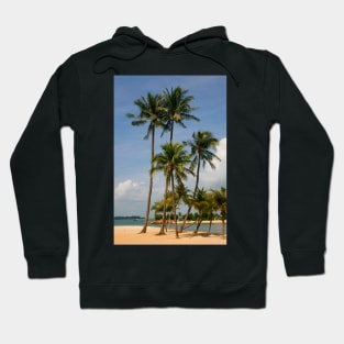 A palm lined beach in the tropics Hoodie